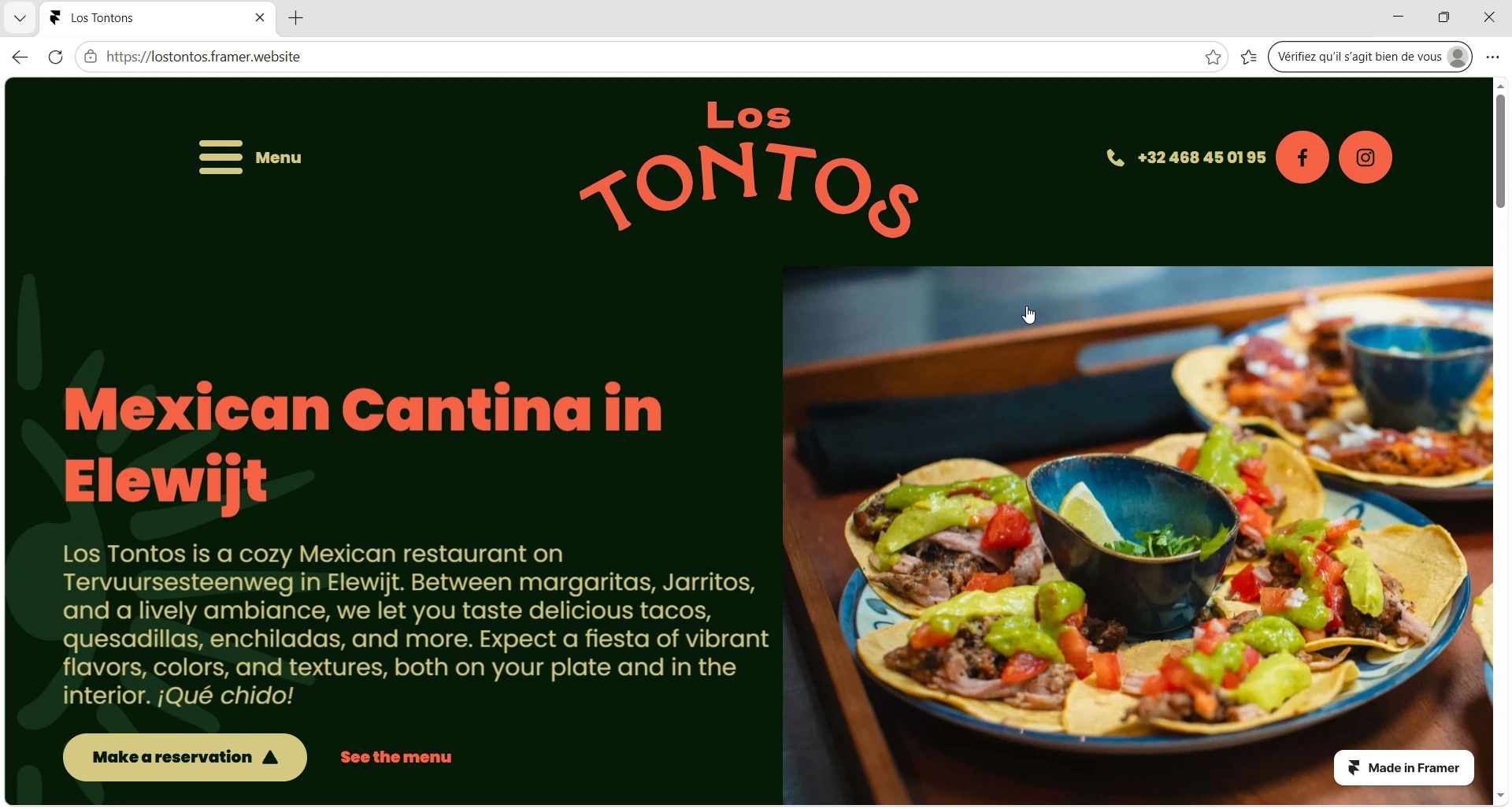 Los Tontos — visuel 2