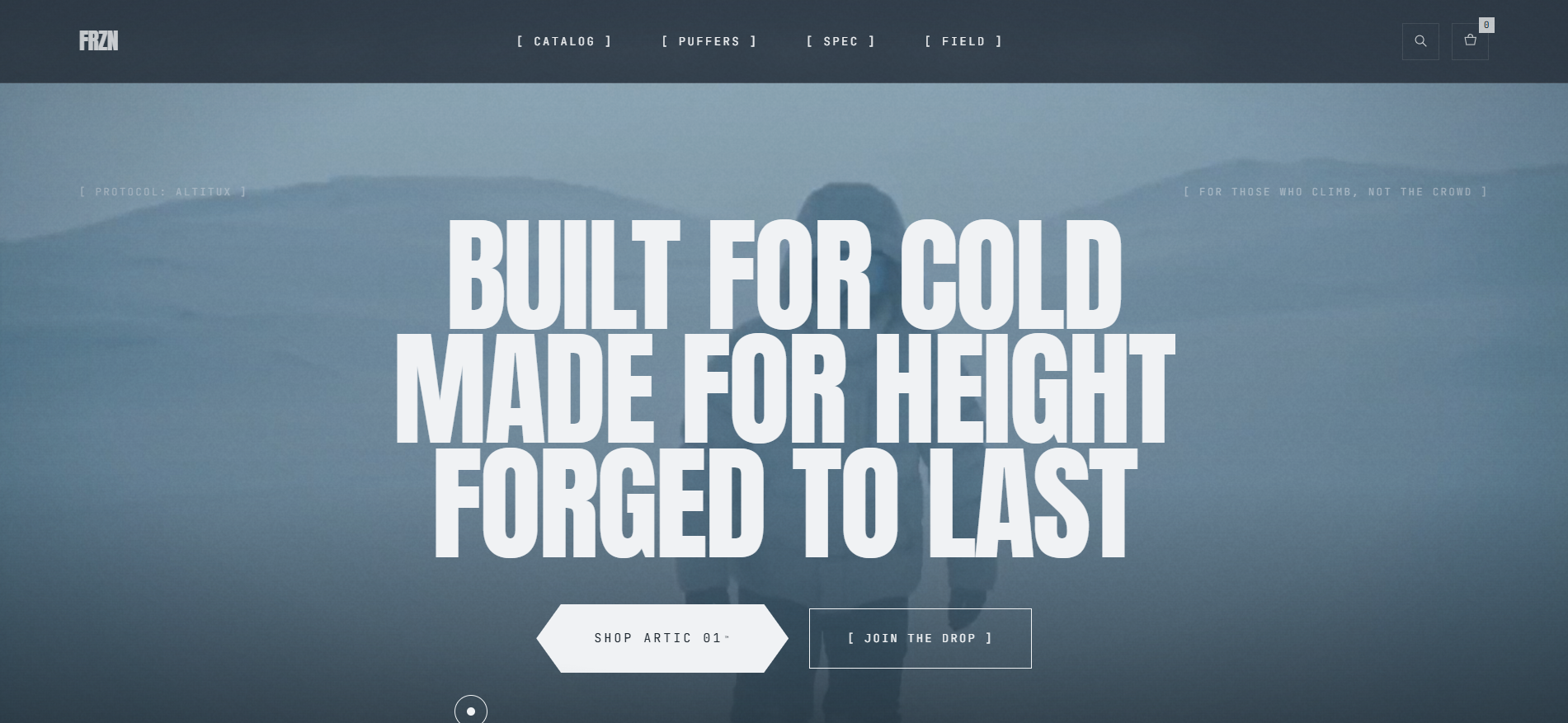 FRZN — visuel 5